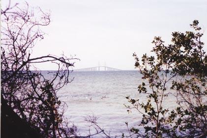 Sunshine Skyway Bridge